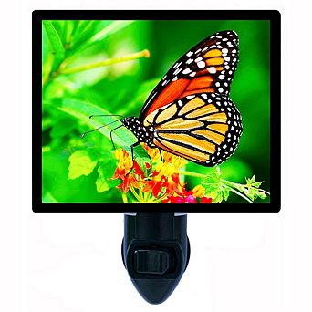Summer Monarch. Butterfly Decorative Photo Night Light.