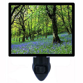 Bluebell Fairyland. Landscape Decorative Photo Night Light.