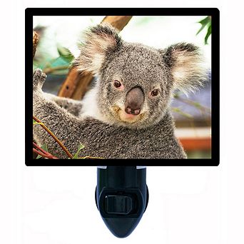 Cute Koala. Decorative Photo Night Light.