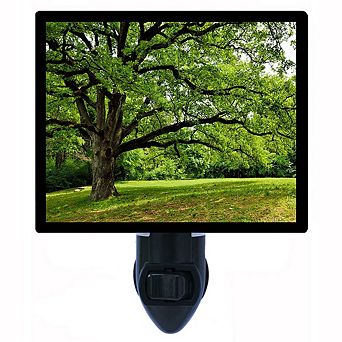Oak Tree In Park. Decorative Photo Night Light.