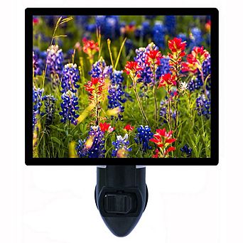 Spring Wildflowers In Texas. Decorative Photo Night Light.