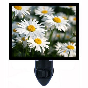 Spring Daisies. Daisy Decorative Photo Night Light.