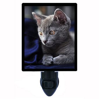 Lookin' Pretty. Cat Decorative Photo Night Light.