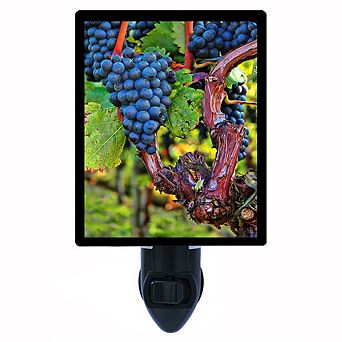 Grape Vines. Kitchen Decorative Photo Night Light.