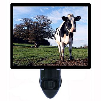 Curious Cow. Decorative Photo Night Light.