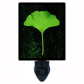 Organics Ginkgo. Decorative Photo Night Light.