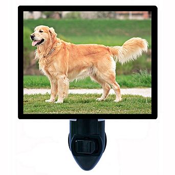 Golden In Summer. Golden Retriever Decorative Photo Night Light.