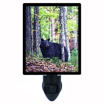 Black Bear. Decorative Photo Night Light.