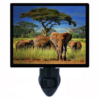 Elephants In The Wild. Decorative Photo Night Light.