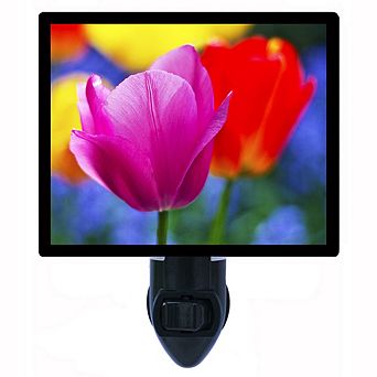 Spring Has Sprung. Flower Decorative Photo Night Light.