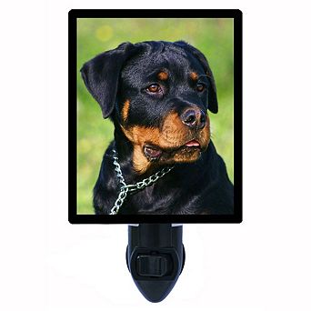 Rottweiler. Dog Decorative Photo Night Light.
