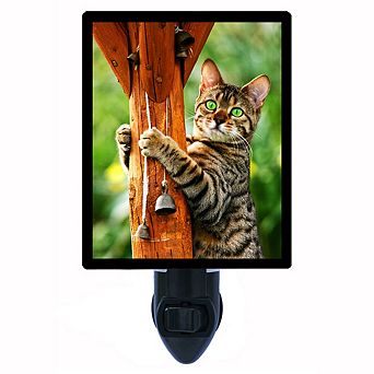 Hang Time. Decorative Photo Night Light.
