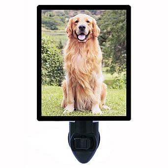 Golden Retriever. Dog Decorative Photo Night Light.