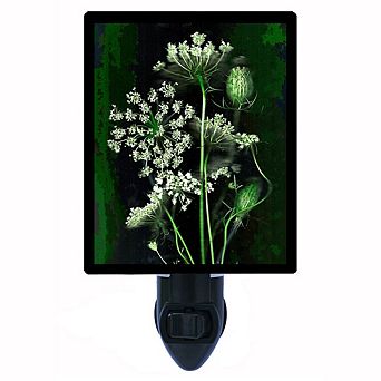 Queen Anne's Lace. Decorative Photo Night Light.