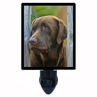 Chocolate Lab. Labrador Retriever Decorative Photo Night Light.