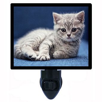 Feeling Blue. Cat Decorative Photo Night Light.