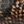 Snake Brown