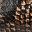 Snake Brown