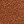 75 Hazelnut Deep Golde