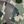 Digital Camo