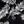 Black Romantic Palm