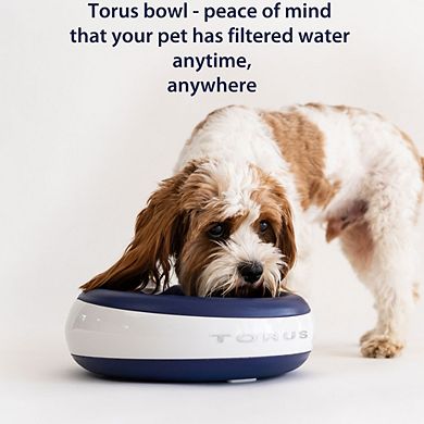 Torus Pet Replacement Standard Torus Filter for Torus Dog and Cat Water Bowl Pack of 6