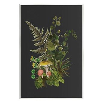 Stupell Home Decor Forest Herbs Sprouting Nature Canvas Wall Art