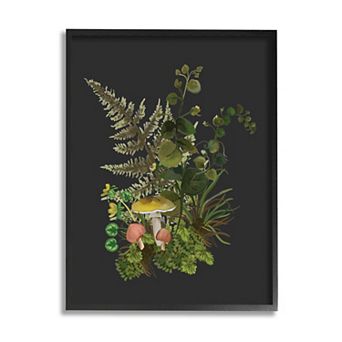 Stupell Home Decor Forest Herbs Sprouting Nature Framed Canvas Wall Art