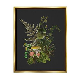 Stupell Home Decor Forest Herbs Sprouting Nature Framed Canvas Wall Art
