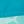 Teal Blue Shark