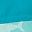 Teal Blue Shark