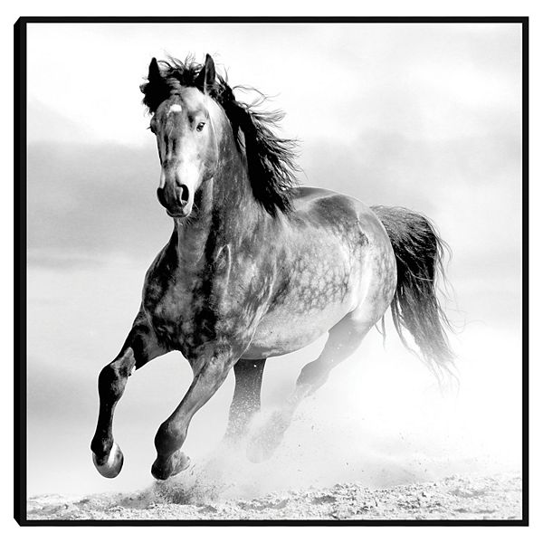 Running Wild Framed Canvas Wall Art