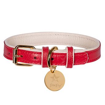Pet Dog Leather Collar