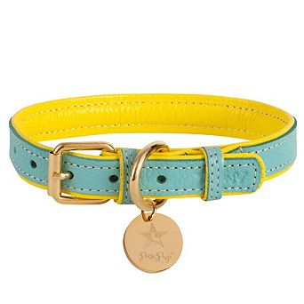 Pet Dog Leather Collar