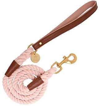 Pet Dog 5ft Long Leash