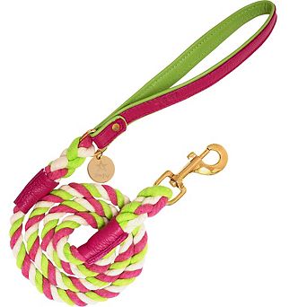 Pet Dog 5ft Long Leash