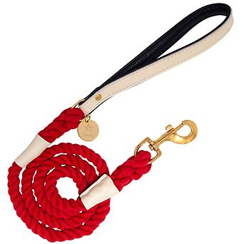 Pet Dog 5ft Long Leash
