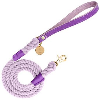 Pet Dog 5ft Long Leash