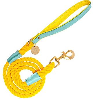 Pet Dog 5ft Long Leash