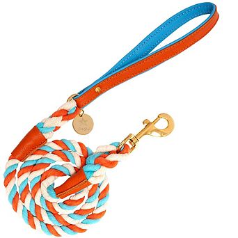 Pet Dog 5ft Long Leash