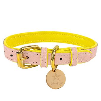 Pet Dog Leather Collar