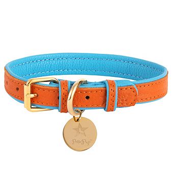 Pet Dog Leather Collar
