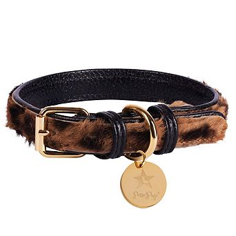 Pet Dog Leather Collar