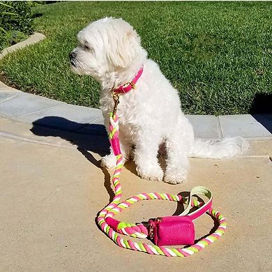 Pet Dog Leather Collar