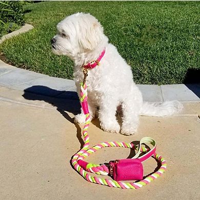 Pet Dog Leather Collar