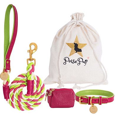 Pet Dog Leather Collar