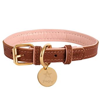 Pet Dog Leather Collar