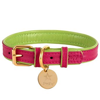 Pet Dog Leather Collar