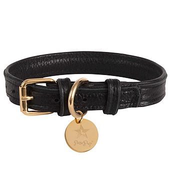 Pet Dog Leather Collar