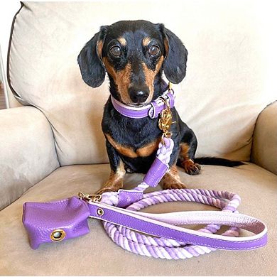 Pet Dog Leather Collar